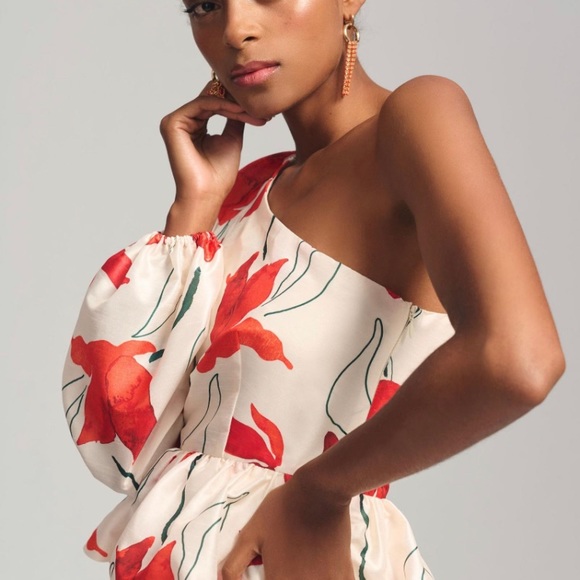 NWT Anthropologie Hutch One-Shoulder Floral Peplum Dress size 10 - Picture 5 of 11